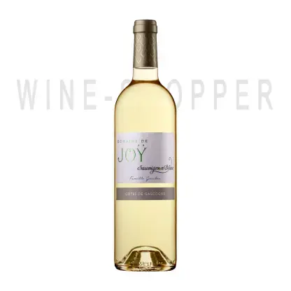 Domaine De Joy Sauvignon Blanc Cotes De Gascogne 2016 0.75 л